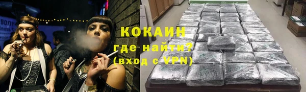PSILOCYBIN Гусев