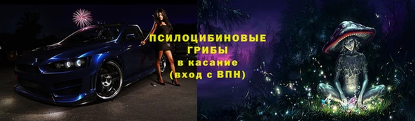 сатива Гусиноозёрск