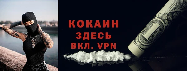 сатива Гусиноозёрск