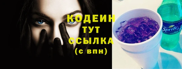 PSILOCYBIN Гусев