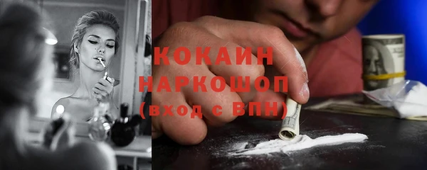 PSILOCYBIN Гусев