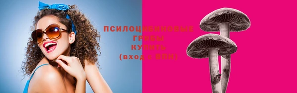 PSILOCYBIN Гусев
