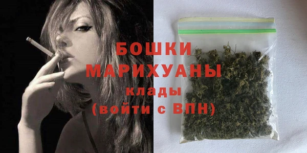 PSILOCYBIN Гусев