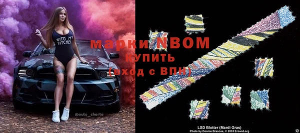 сатива Гусиноозёрск