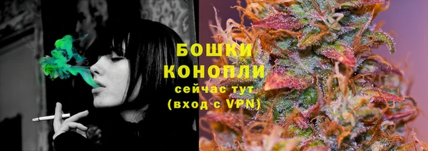 PSILOCYBIN Гусев